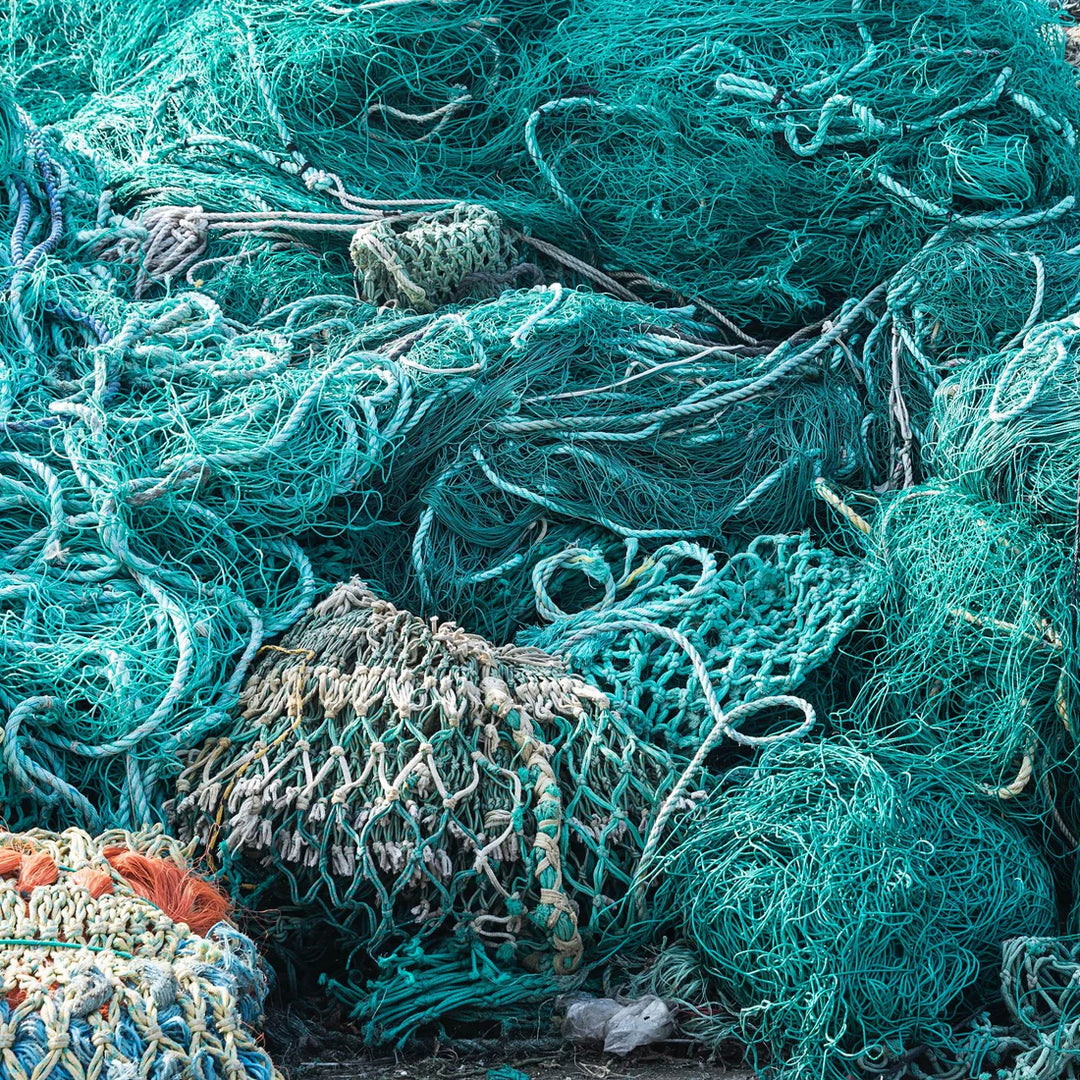 Rebel Fin - Wachskamm