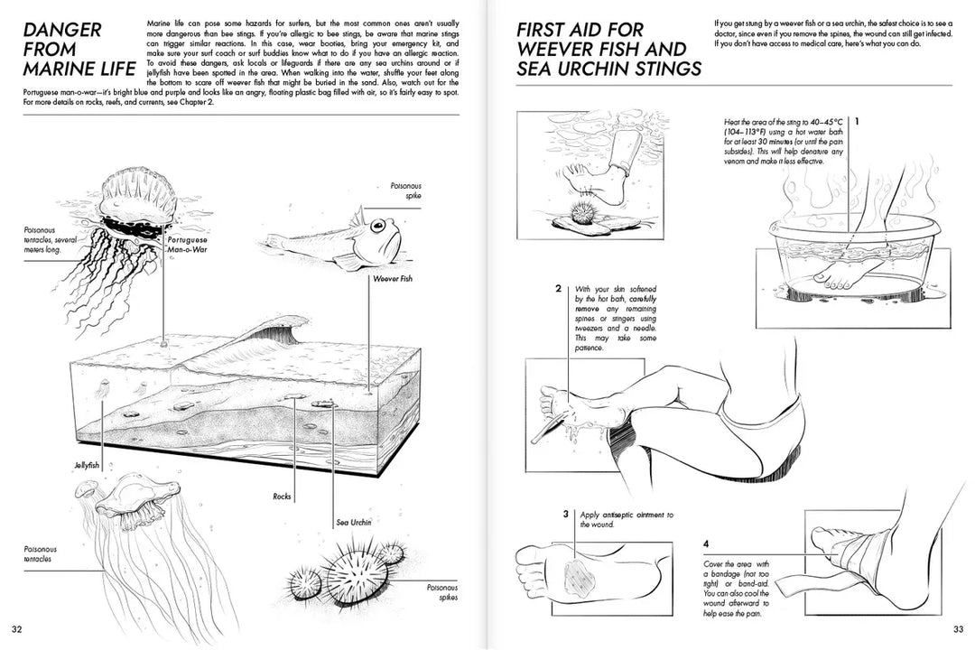 Der Surfcompanion Surf Companion Beginner 2. Auflage - Das Surfbuch enthält Schwarz-Weiß-Illustrationen von gefährlichen Meerestieren, ihren Lebensräumen und Erste-Hilfe-Maßnahmen bei Seeigel- und Fischstichen - ideal für Surf-Anfänger oder als Arbeitsbuch für Surflehrer.
