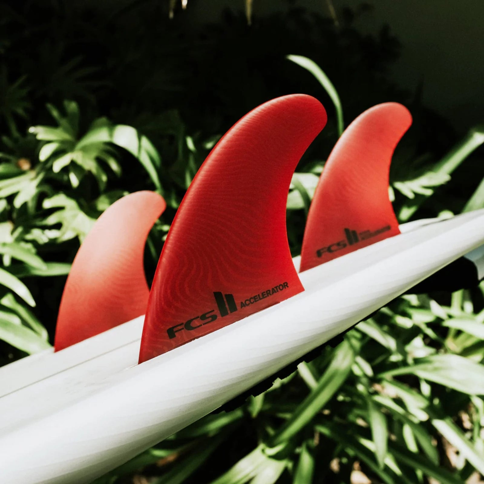 Nahaufnahme von drei salbeigrünen FCS 2 Carver Neo Glass Tri Fins von FCS auf einem weißen Surfbrett, die nachhaltige Leistung bieten; im verschwommenen Hintergrund ist grünes Laub zu sehen.